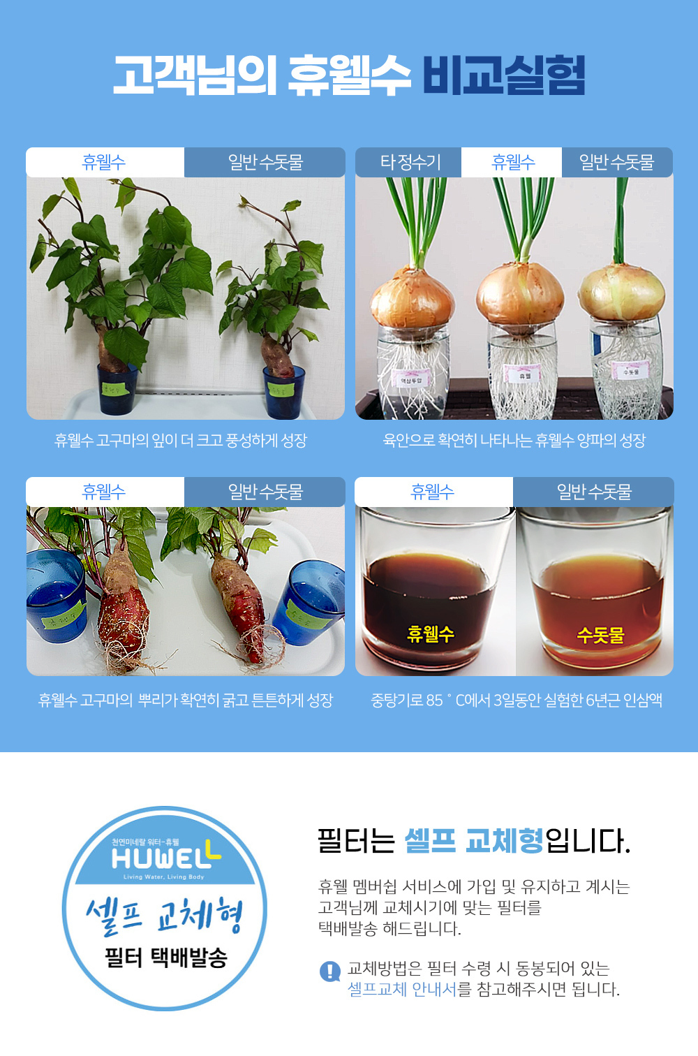 비교실험/고구마가 잘 자라는 물/양파가 잘 자라는 물/휴웰수로 키우는 식물/휴웰 직수형 정수기로 키우는 식물/셀프교체필터/셀프필터/스스로 교체하는 필터/간편교체필터