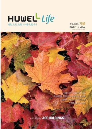 휴웰라이프 2020.11 Vol.9